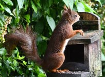 DSC_0253-d5002-c.jpg DSC_0253-d5002-c.jpg