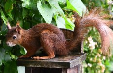 DSC_0259-d5002-c.jpg DSC_0259-d5002-c.jpg