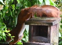 DSC_0260-d5002-c.jpg DSC_0260-d5002-c.jpg