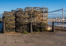 54138333039_512f9e6274_b.jpg 54138333039_512f9e6274_b.jpg