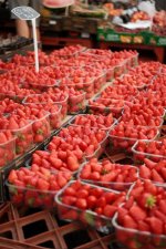 DSCF6795.jpeg DSCF6795.jpeg