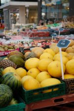 DSCF6803.jpeg DSCF6803.jpeg