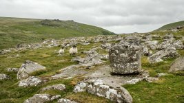 006 Shelstone Tor 03-9759 PS Adj Upload.JPG 006 Shelstone Tor 03-9759 PS Adj Upload.JPG