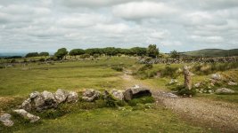 021 Prewley Newtake Copse 01-9777 PS Adj Upload.JPG 021 Prewley Newtake Copse 01-9777 PS Adj Upload.JPG