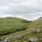 007 Black a Tor Copse 01-000154300007 PS Adj Upload.JPG