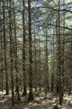 1-DSC08569.jpg 1-DSC08569.jpg