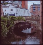 DPOY challenge - month 6 - Shadows-1.jpg