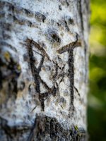 Week #  Bark (1 of 6).JPG