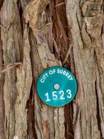 Week #  Bark (5 of 6).JPG