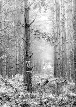 ThetfordMonoCrop2v900.jpg ThetfordMonoCrop2v900.jpg