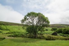 006 Vitifer Mine Ruins 01-1002643 PS Adj Upload.JPG 006 Vitifer Mine Ruins 01-1002643 PS Adj Upload.JPG