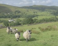 _7819550.jpg _7819550.jpg