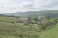 _7819505.jpg _7819505.jpg