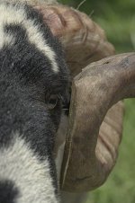 _7819428.jpg _7819428.jpg