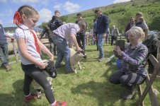 _7814385.jpg _7814385.jpg