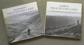 _7515375.jpg _7515375.jpg