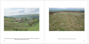 2025-06-20_175328.png 2025-06-20_175328.png