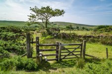 003 Lone Tree 01-1002694 PS Adj Upload.jpg 003 Lone Tree 01-1002694 PS Adj Upload.jpg