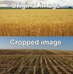 IMG_0752.jpeg IMG_0752.jpeg