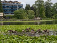 Week 25 - Snappiness 1.JPG Week 25 - Snappiness 1.JPG