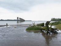 Week 25 - Snappiness 4.JPG Week 25 - Snappiness 4.JPG