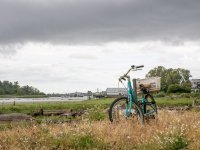 Week 25 - Snappiness 5.JPG