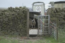 _7819620.jpg _7819620.jpg