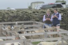 _7819675.jpg _7819675.jpg