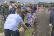 _7819785.jpg _7819785.jpg