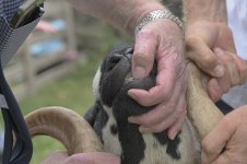 _7819789.jpg _7819789.jpg