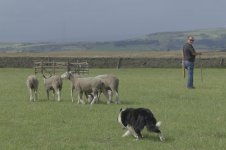 _7819884.jpg _7819884.jpg