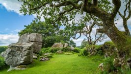 003 Middleworth Tor (BBQ Area) 01-1002738 PS Adj Upload.jpg