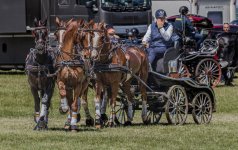 Week 25 - Snapper's Choice-1.jpg