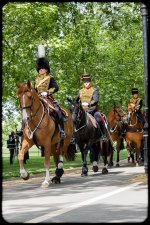 Week 26 - Transport-1.jpg