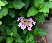 DSC_1892.JPG DSC_1892.JPG