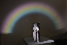 2025 Rainbow 5.JPG 2025 Rainbow 5.JPG