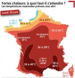 1751399019430.jpeg 1751399019430.jpeg