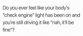 IMG_6252.jpeg IMG_6252.jpeg