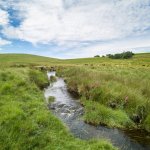 009a Teignhead Clapper Bridge & Farm (SQ) 03-1002801 PS Adj Upload.jpg 009a Teignhead Clapper Bridge & Farm (SQ) 03-1002801 PS Adj Upload.jpg