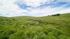 007 Teignhead Clapper Bridge & Farm 01-1002799 PS Adj Upload.jpg 007 Teignhead Clapper Bridge & Farm 01-1002799 PS Adj Upload.jpg