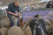 _7814511.jpg _7814511.jpg