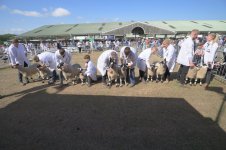 _7814496.jpg _7814496.jpg