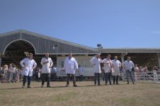 _7814554.jpg _7814554.jpg