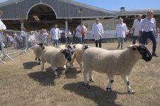 _7814570.jpg _7814570.jpg