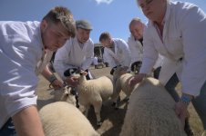 _7814577.jpg _7814577.jpg