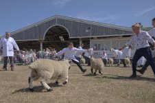 _7814580.jpg _7814580.jpg