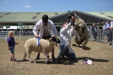 516880128_1353906709639555_6706694077985362311_n.jpg 516880128_1353906709639555_6706694077985362311_n.jpg