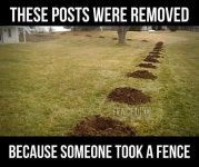 posts removed.jpg