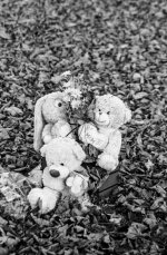 no headstone but still remembered.jpg