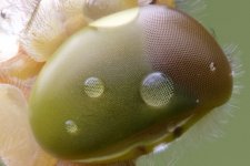 1752139375748.jpeg 1752139375748.jpeg